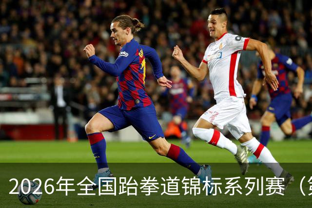 2026年全国跆拳道锦标系列赛（第二站）在广州举行